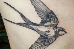 Татуировка : Птицы, Ласточка на бедре