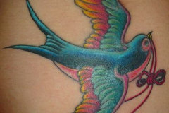 Татуировка : Птицы, Цветные, Ласточка на бедре
