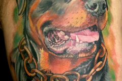 Татуировка : Цветные, Собака на бедре