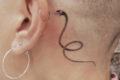Татуировка : Змея на голове