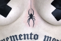 Татуировка : Паук, Надпись на груди