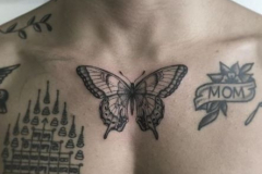 Татуировка : Бабочка на груди