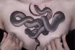 Татуировка : Змея на груди