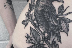 Татуировка : Ворон, Птицы на животе
