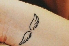 Татуировка : Крылья, Мини