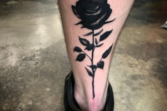 Татуировка : Цветы, Роза на голени (икре)