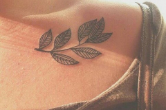 Татуировка : Листья на ключице