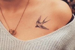 Татуировка : Птицы, Ласточка на ключице