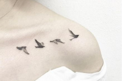 Татуировка : Птицы на ключице