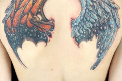 Татуировка : Цветные, Крылья на лопатке