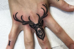 Татуировка : Животные на пальцах