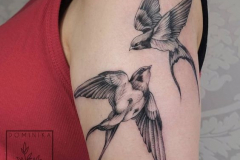 Татуировка : Птицы, Ласточка на плече