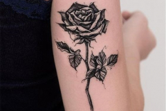 Тату : Цветы, Роза на плече