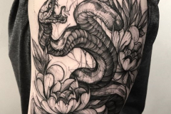 Татуировка : Цветы, Змея на плече