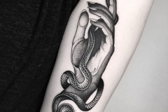 Наколка : Змея, Руки на плече