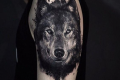 Тату : Животные, Волк на плече