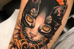Татуировка : Животные, Цветные, Кошка на плече