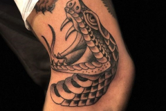 Татуировка : Змея на плече