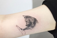 Татуировка : Животные, Кошка на плече