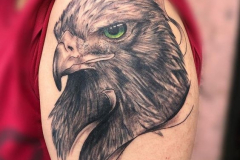 Татуировка : Птицы, Цветные, Орел на плече