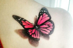 Татуировка : Цветные, Бабочка на плече