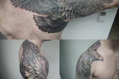 Татуировка : Птицы, Орел на плече