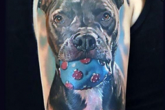 Татуировка : Животные, Цветные, Собака на плече