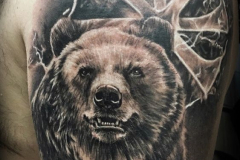 Тату : Животные, Медведь на плече