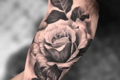 Наколка : Цветы, Роза на плече