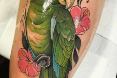 Татуировка : Цветы, Птицы, Цветные на плече