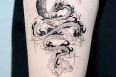 Наколка : Змея, Дракон на плече