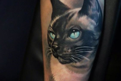 Татуировка : Цветные, Кошка, Животные на плече