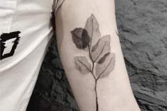 Татуировка : Листья на плече