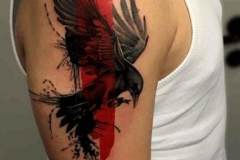 Татуировка : Птицы, Ворон, Цветные на плече