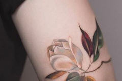 Татуировка : Цветы, Цветные на плече