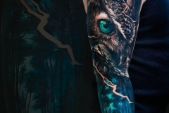 Татуировка : Рукав, Птицы, Цветные, Сова на плече