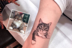 Татуировка : Животные, Кошка на плече