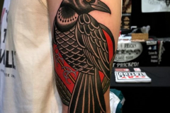 Татуировка : Ворон, Птицы, Цветные на плече