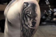 Тату : Волк, Животные на плече