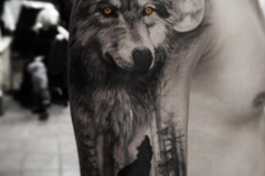 Наколка : Волк, Животные на плече