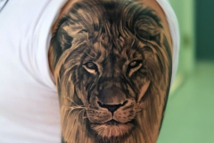 Татушка : Лев, Животные на плече