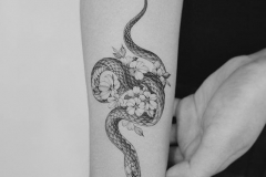Наколка : Змея, Цветы на плече