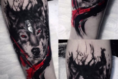 Татуировка : Волк, Животные, Цветные на предплечье