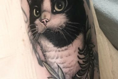 Татуировка : Кошка, Животные, Листья, Луна на предплечье