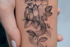 Татуировка : Цветы, Змея, Роза на предплечье