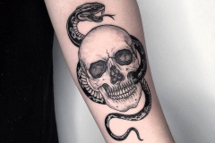 Татуировка : Череп, Змея на предплечье