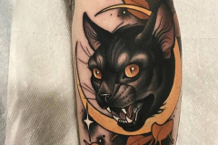 Татуировка : Кошка, Животные на предплечье