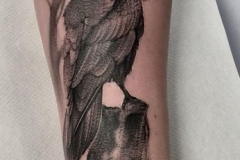 Татуировка : Ворон, Птицы на предплечье