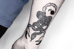 Татуировка : Зодиак, Змея на предплечье