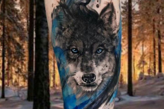 Татуировка : Волк, Животные на предплечье